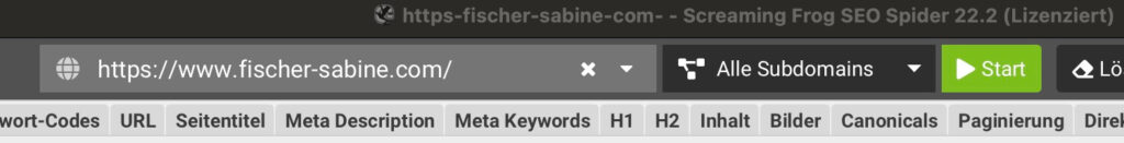 Screaming Frog Website Crawl