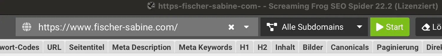 Screaming Frog Website Crawl